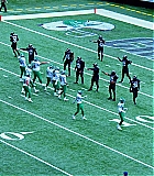 1284.jpg