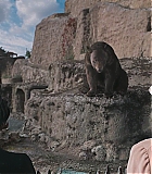 Filename=LMR-GCR274.jpg
Filesize=233KiB
Dimensions=1920x1036
Date added=Aug 02, 2019 LMR-GCR274.jpg