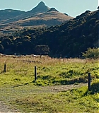 1235.jpg