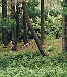 2131.jpg
