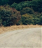 2683.jpg