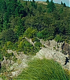 2700.jpg